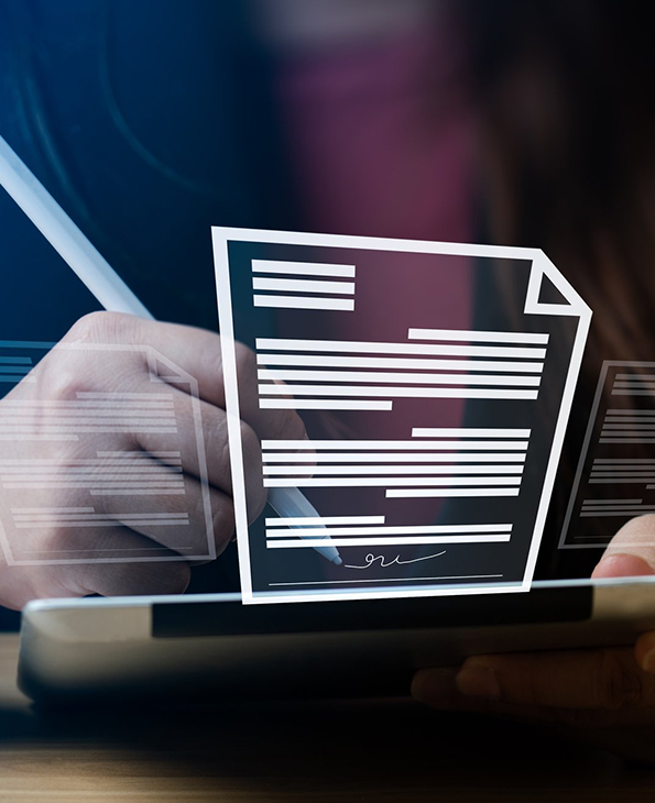 Manual Data Work